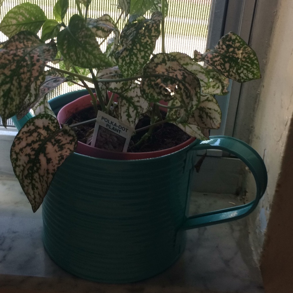 Meet your Posher, Judith
